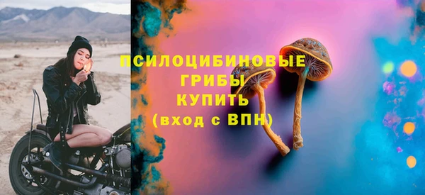 хмурый Алексин