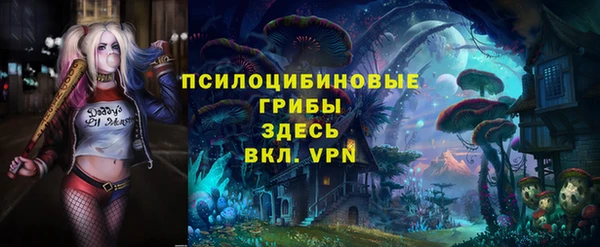 МДПВ Алзамай