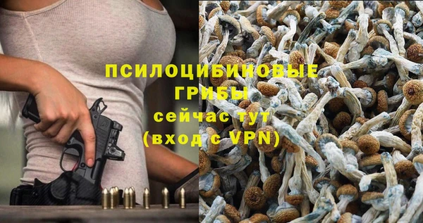 МДПВ Алзамай