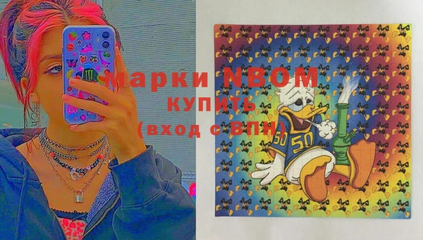 хмурый Алексин