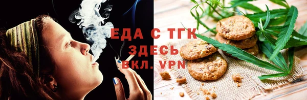 хмурый Алексин