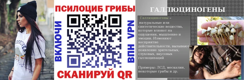 Галлюциногенные грибы Psilocybe  Красноярск 